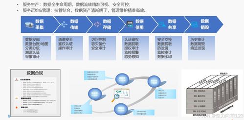 Java系统数据安全与治理 数据处理与存储支持服务的实践与策略